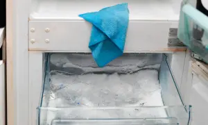 W zamrażarce no frost zebrał się lód i resztki jedzenia, co może powodować nieprzyjemny smród. Niebieska ściereczka czeka na sprzątanie.