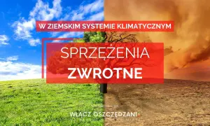Obraz przedstawia kontrast między zieloną, bujną trawą a suchą, spękaną ziemią, symbolizując ujemne sprzężenie zwrotne w systemie klimatycznym.