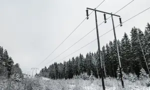 Zimowy krajobraz z liniami energetycznymi. Wysokie napięcie przebiega nad zaśnieżonym lasem i polami.