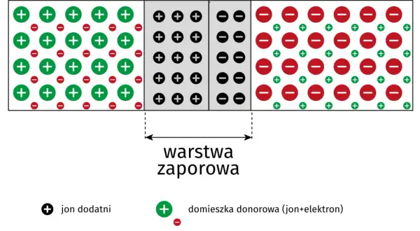 Schemat budowy diody prostowniczej: półprzewodnik typu N z jonami dodatnimi i domieszką donorową, półprzewodnik typu P z jonami ujemnymi i domieszką akceptorową, oraz warstwa zaporowa.