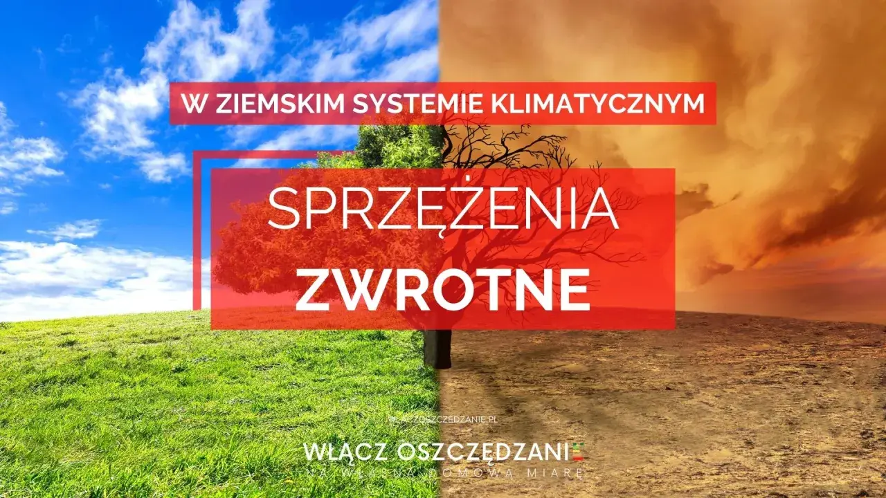 Obraz przedstawia kontrast między zieloną, bujną trawą a suchą, spękaną ziemią, symbolizując ujemne sprzężenie zwrotne w systemie klimatycznym.