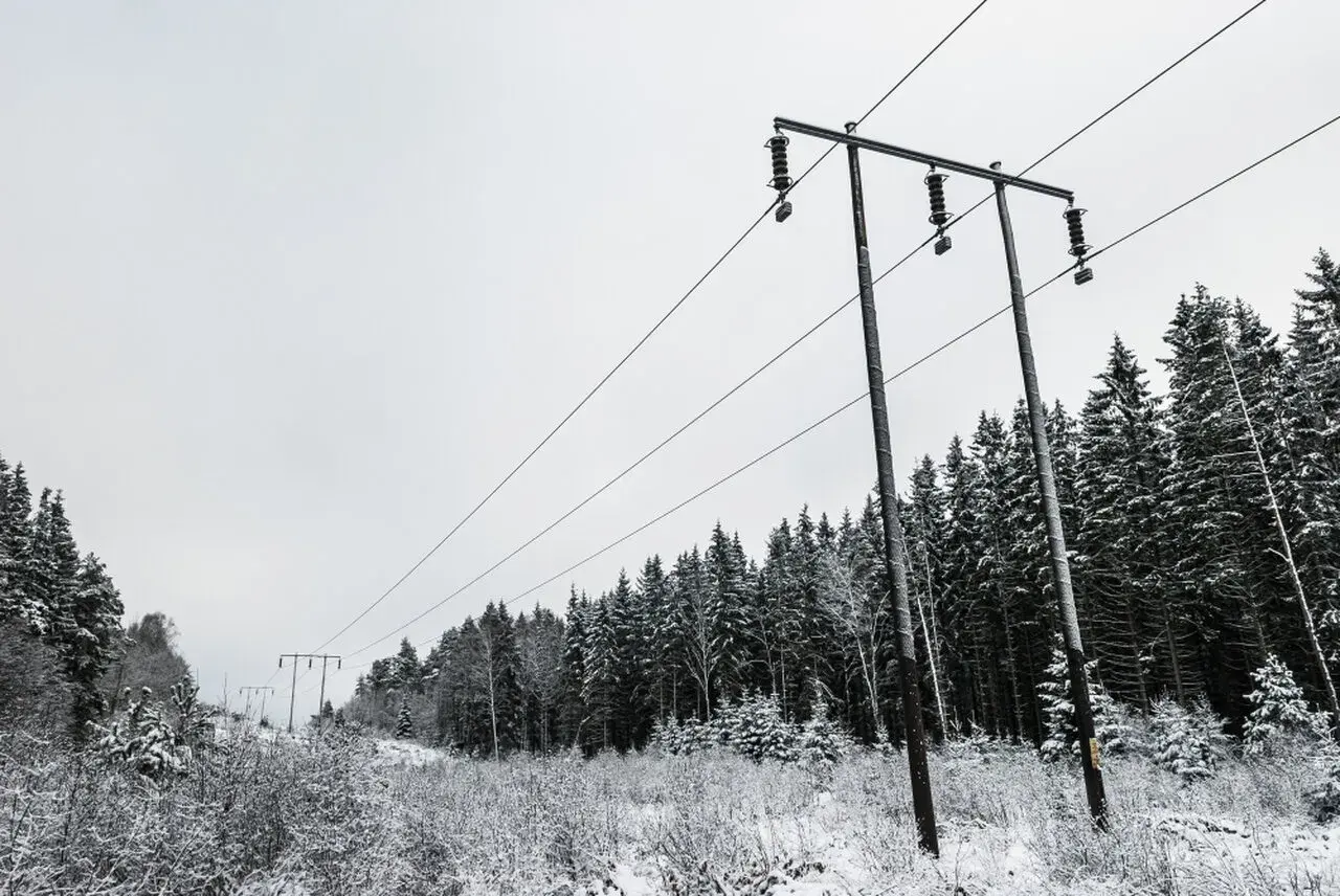 Zimowy krajobraz z liniami energetycznymi. Wysokie napięcie przebiega nad zaśnieżonym lasem i polami.